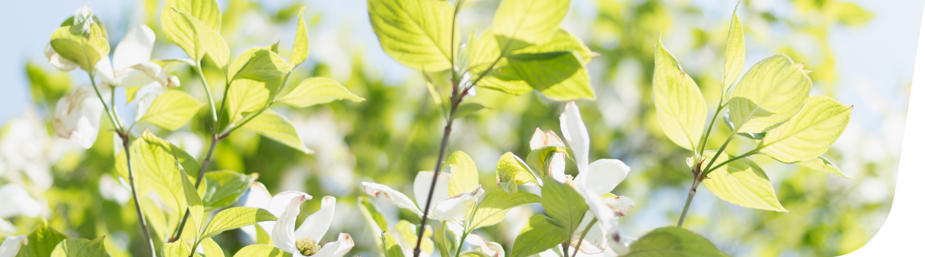 Tapahtuman oletuskuva